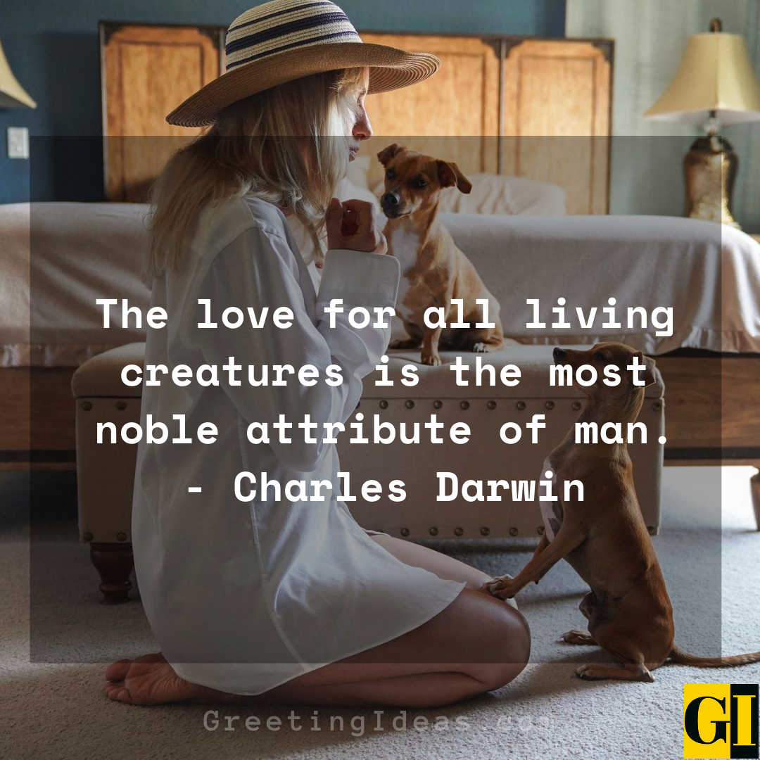 15 Cute and Best Animal Lover Quotes and Sayings 1