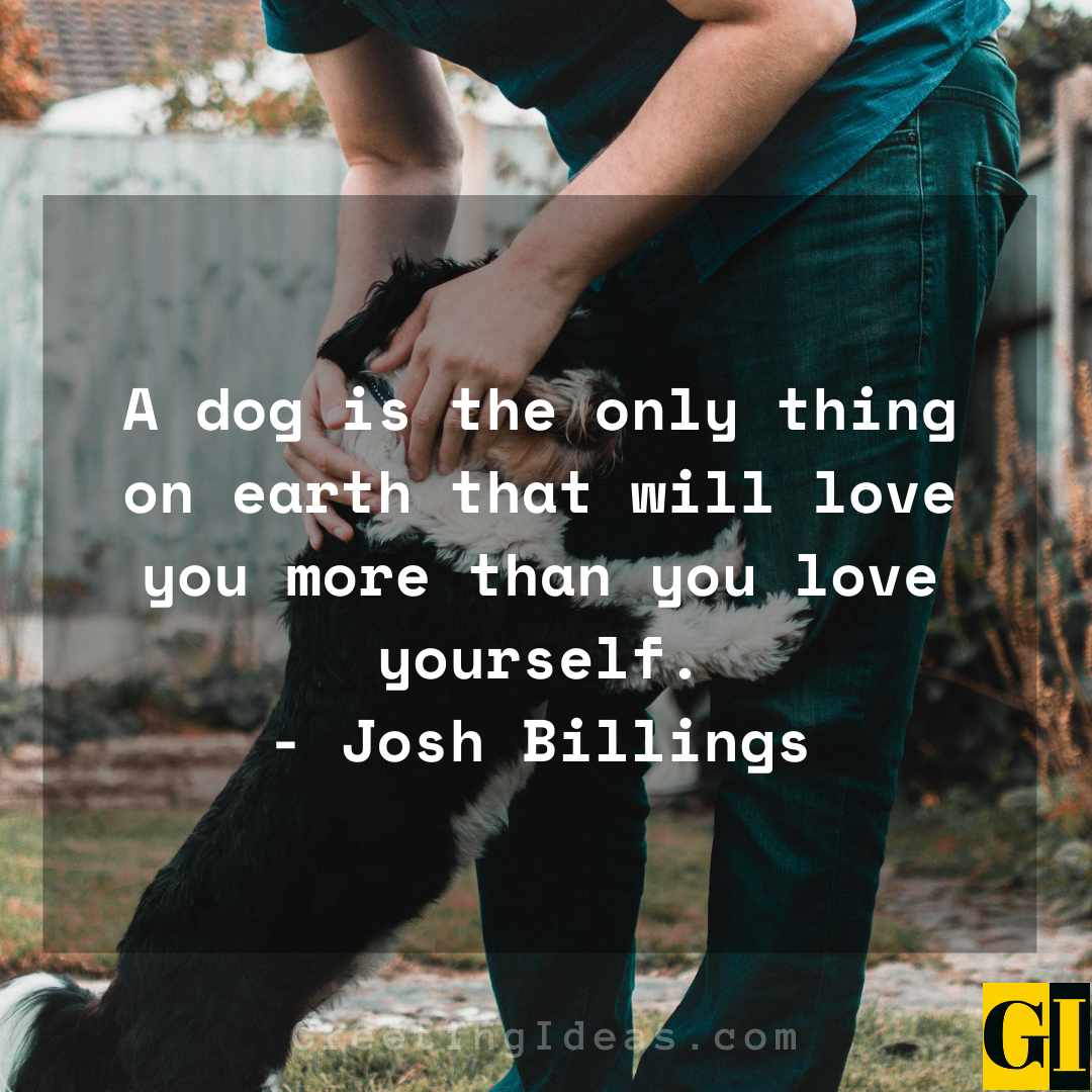 15 Cute and Best Animal Lover Quotes and Sayings 2