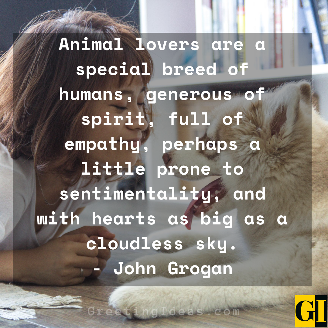 15 Cute and Best Animal Lover Quotes and Sayings 4