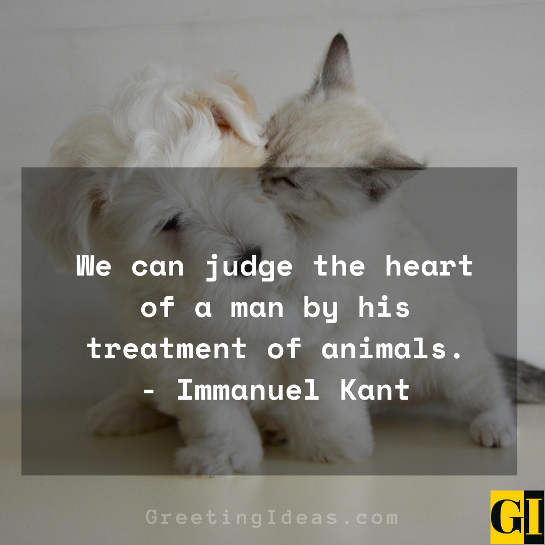 15 Cute and Best Animal Lover Quotes and Sayings 5