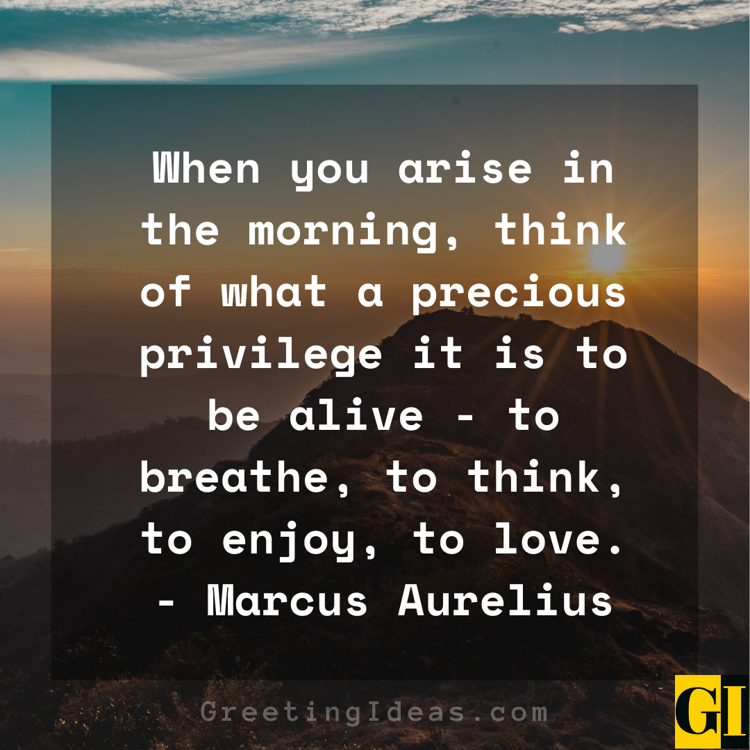 A New Day Quotes Greeting Ideas 5
