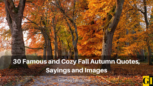 30 Famous and Cozy Fall Autumn Quotes, Sayings and Images