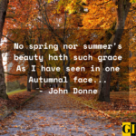 60 Happy Fall Autumn Quotes To Bring Positive Vibes