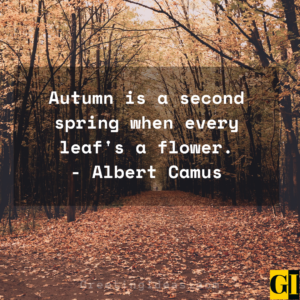 60 Happy Fall Autumn Quotes To Bring Positive Vibes