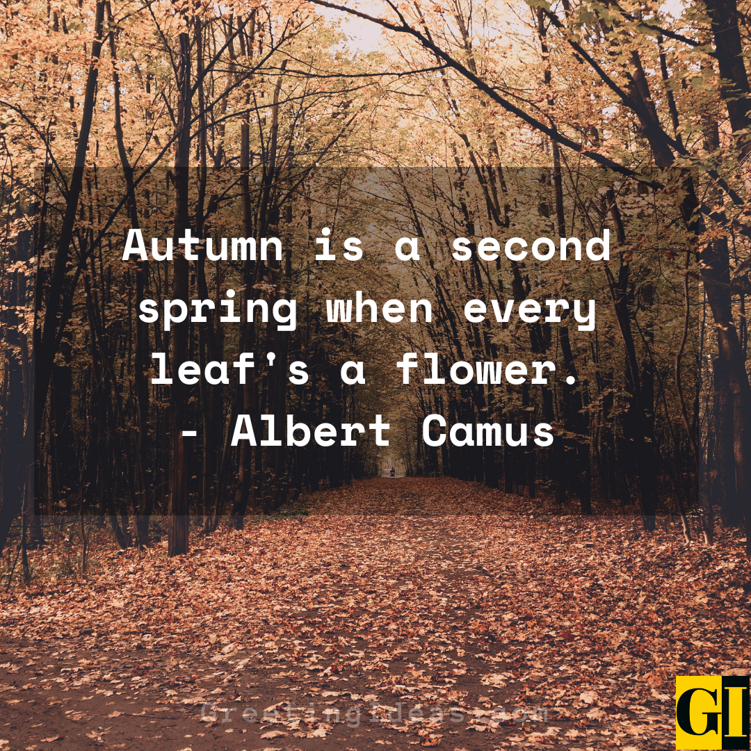 Autumn Quotes Greeting Ideas 3 1