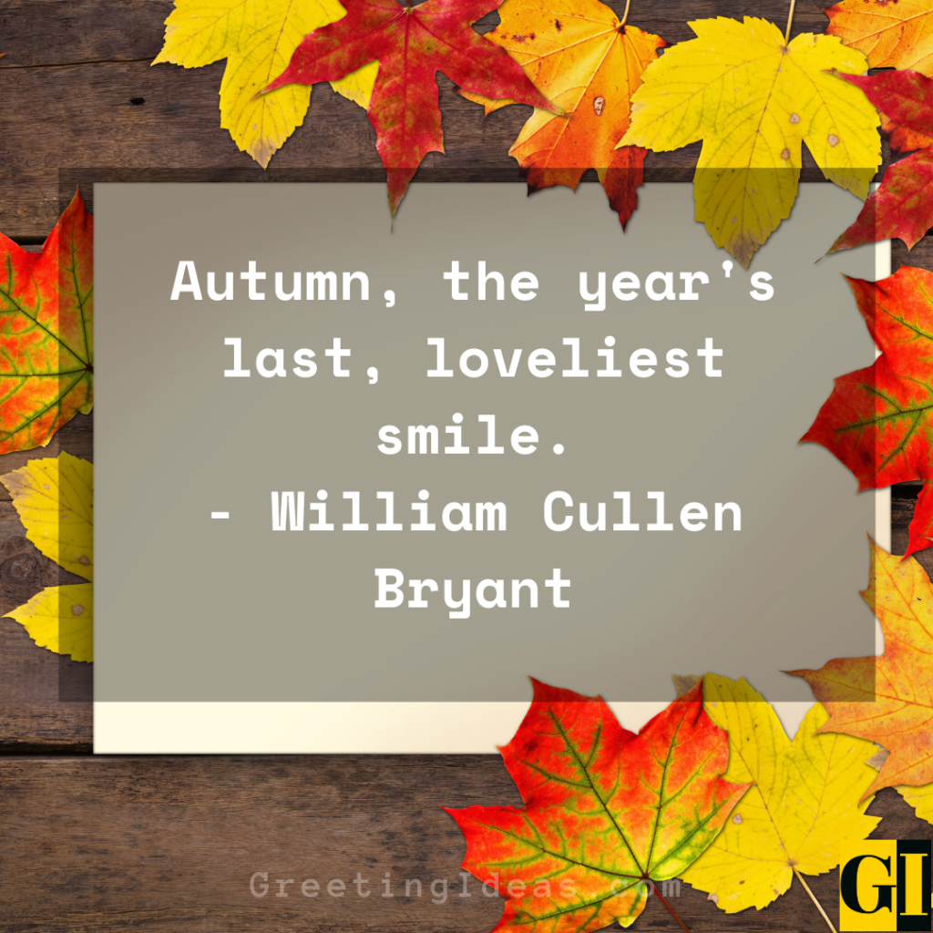 60 Happy Fall Autumn Quotes To Bring Positive Vibes