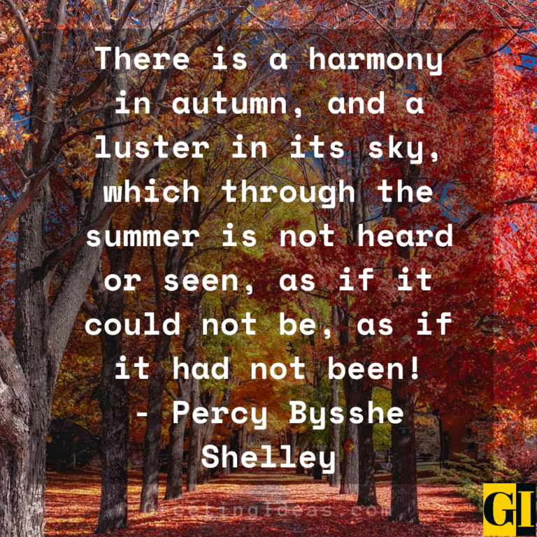 60 Happy Fall Autumn Quotes To Bring Positive Vibes