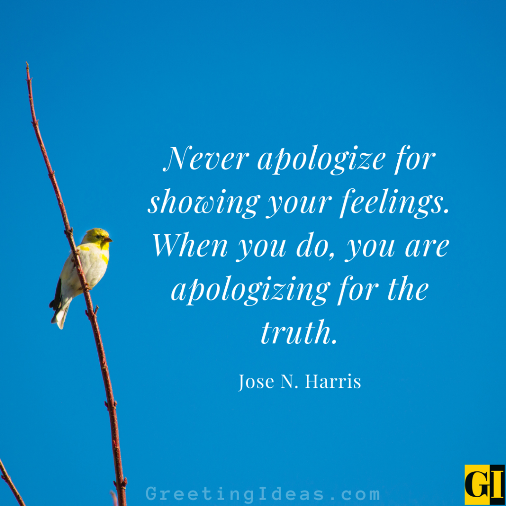 Apologetic Quotes Images Greeting Ideas 3