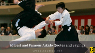 Best and Famous Aikido Quotes and Sayings