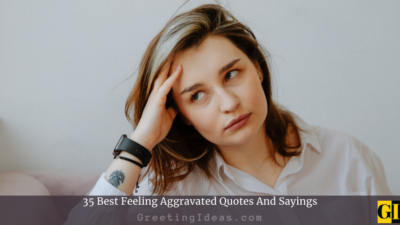 35 Best Feeling Aggravated Quotes And Sayings
