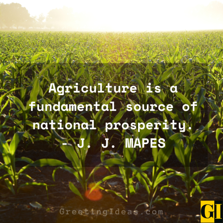 30 Best and Inspirational Agriculture Quotes and Sayings