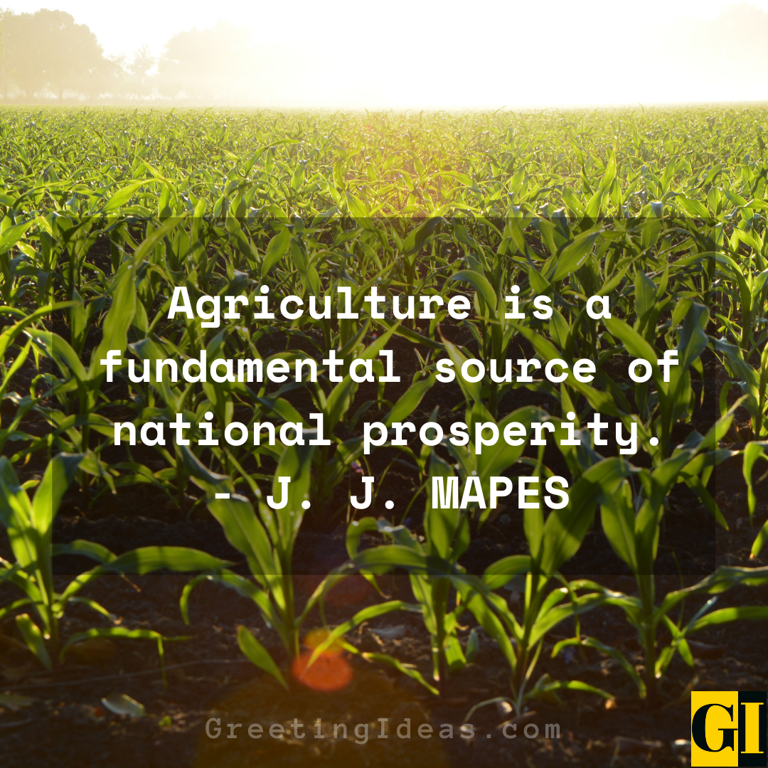 Agriculture Quotes Greeting Ideas 1