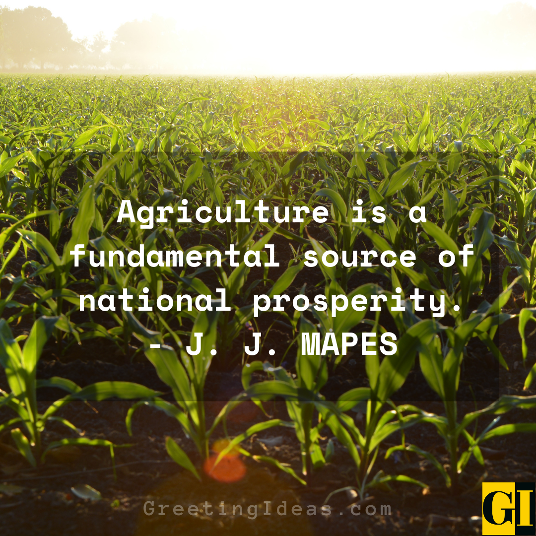 farm life quotes and sayings