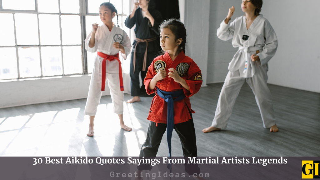 30 Best Aikido Quotes Sayings From Martial Artists Legends