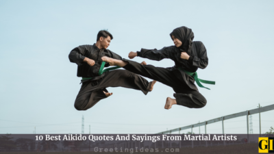 10 Best Aikido Quotes And Sayings From Martial Artists