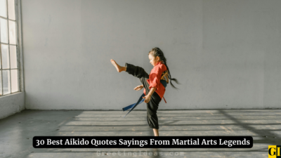 30 Best Aikido Quotes Sayings From Martial Arts Legends
