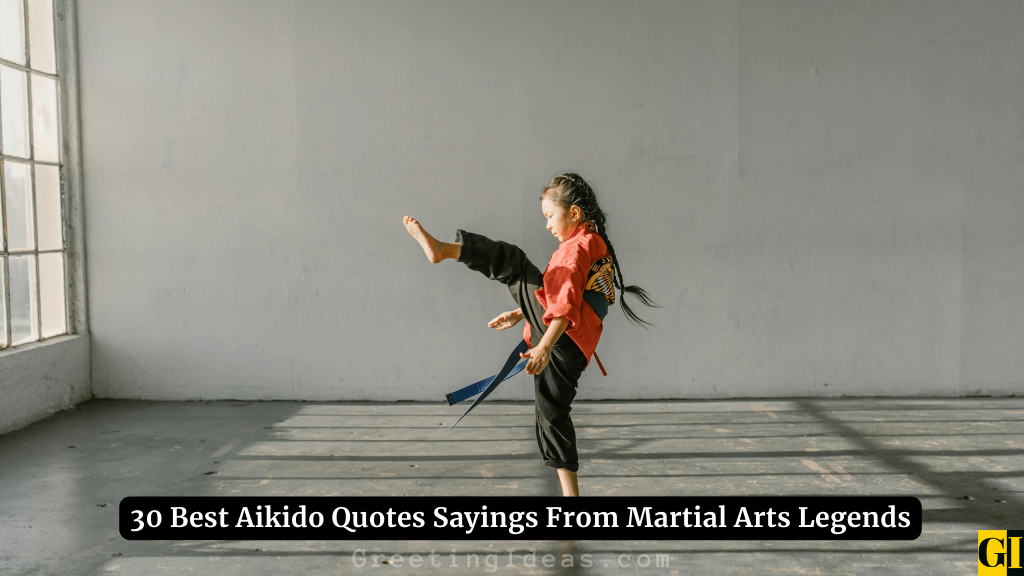 Aikido Quotes Images