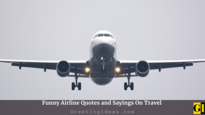 Funny Airline Quotes and Sayings On Travel