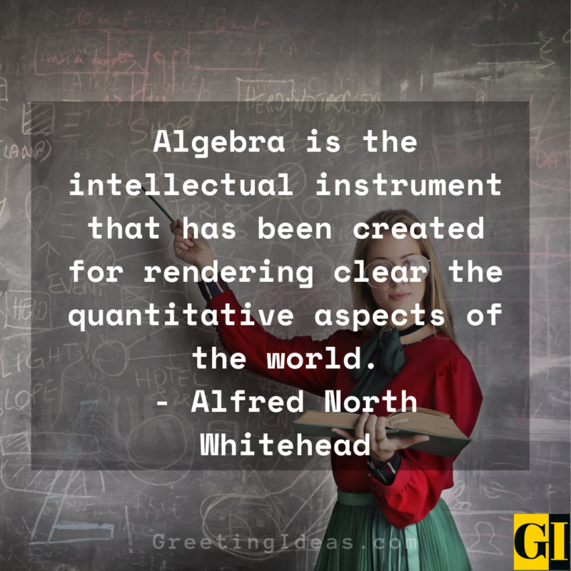 Inspiring Algebra Quotes Sayings By Mathematicians