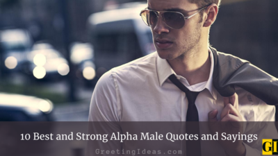 10 Best and Strong Alpha Male Quotes and Sayings