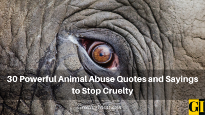 30 Powerful Animal Abuse Quotes and Sayings to Stop Cruelty