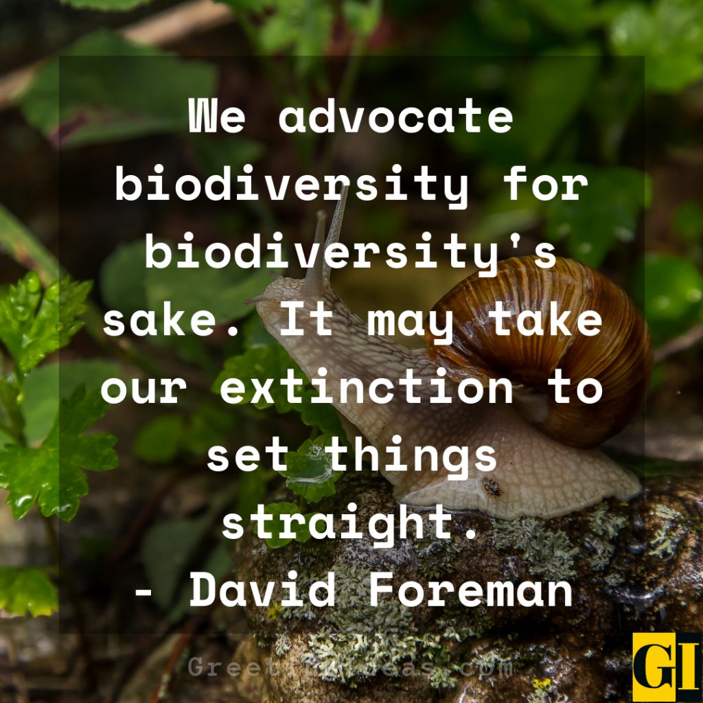 Famous Quotes About Biodiversity Protection and Conservation