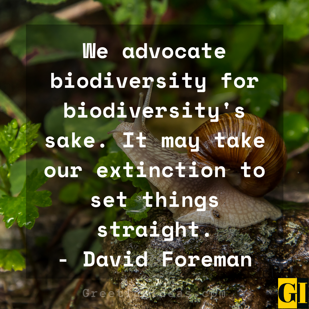 Biodiversity Quotes Greeting Ideas 1 1