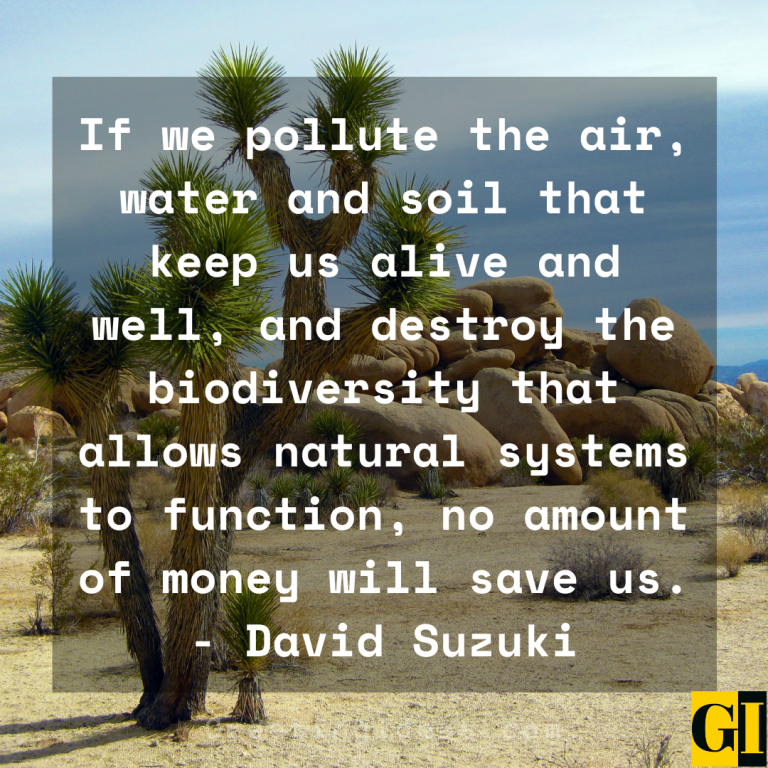 Famous Quotes About Biodiversity Protection and Conservation