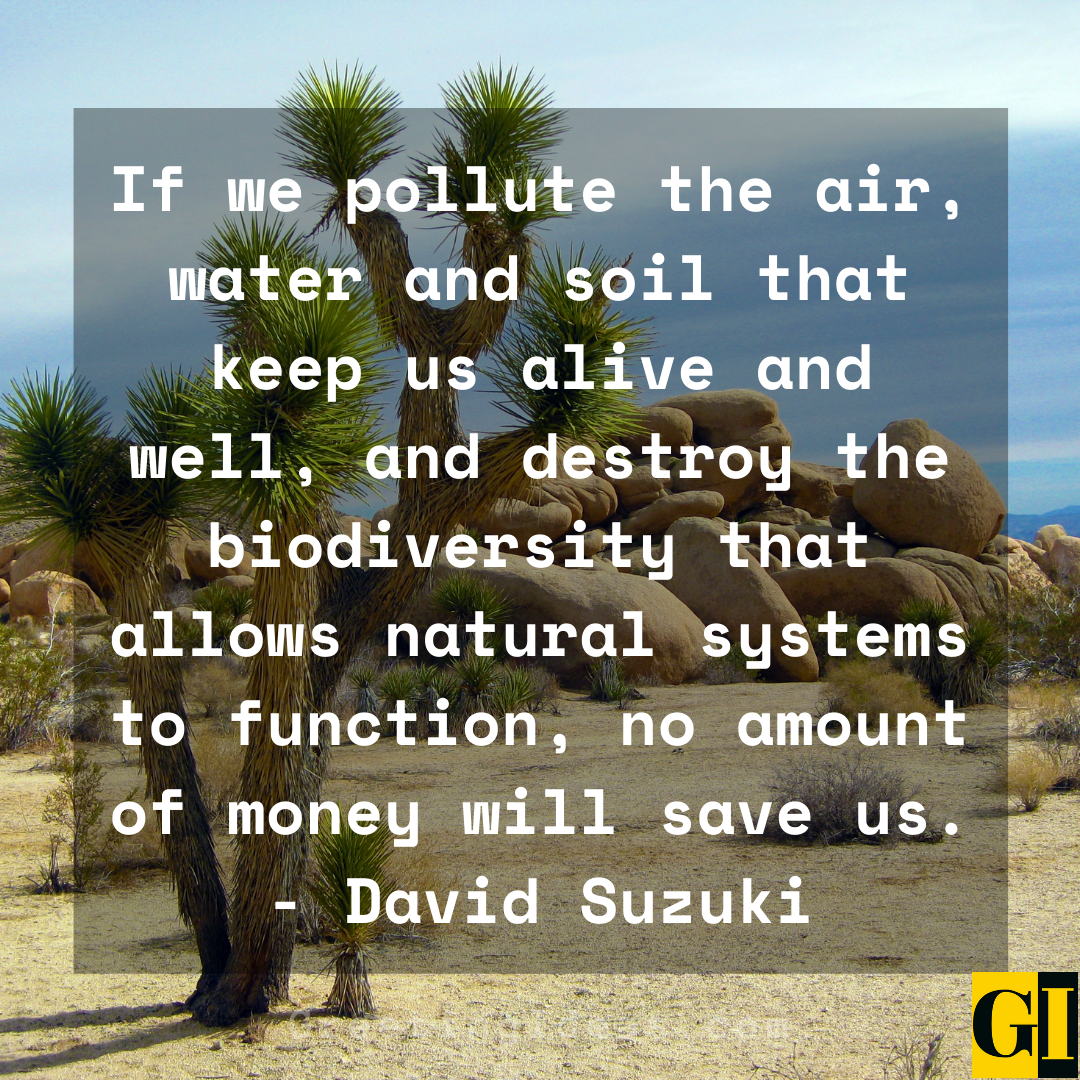 Biodiversity Quotes Greeting Ideas 2 1