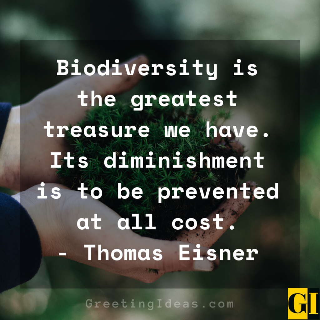 Famous Quotes About Biodiversity Protection and Conservation