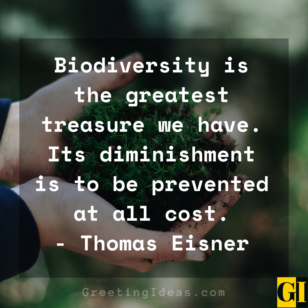 Biodiversity Quotes Greeting Ideas 4 1