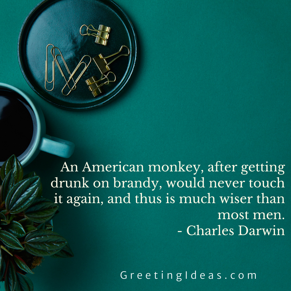 Top Memorable and Funny Brandy Quotes and Sayings