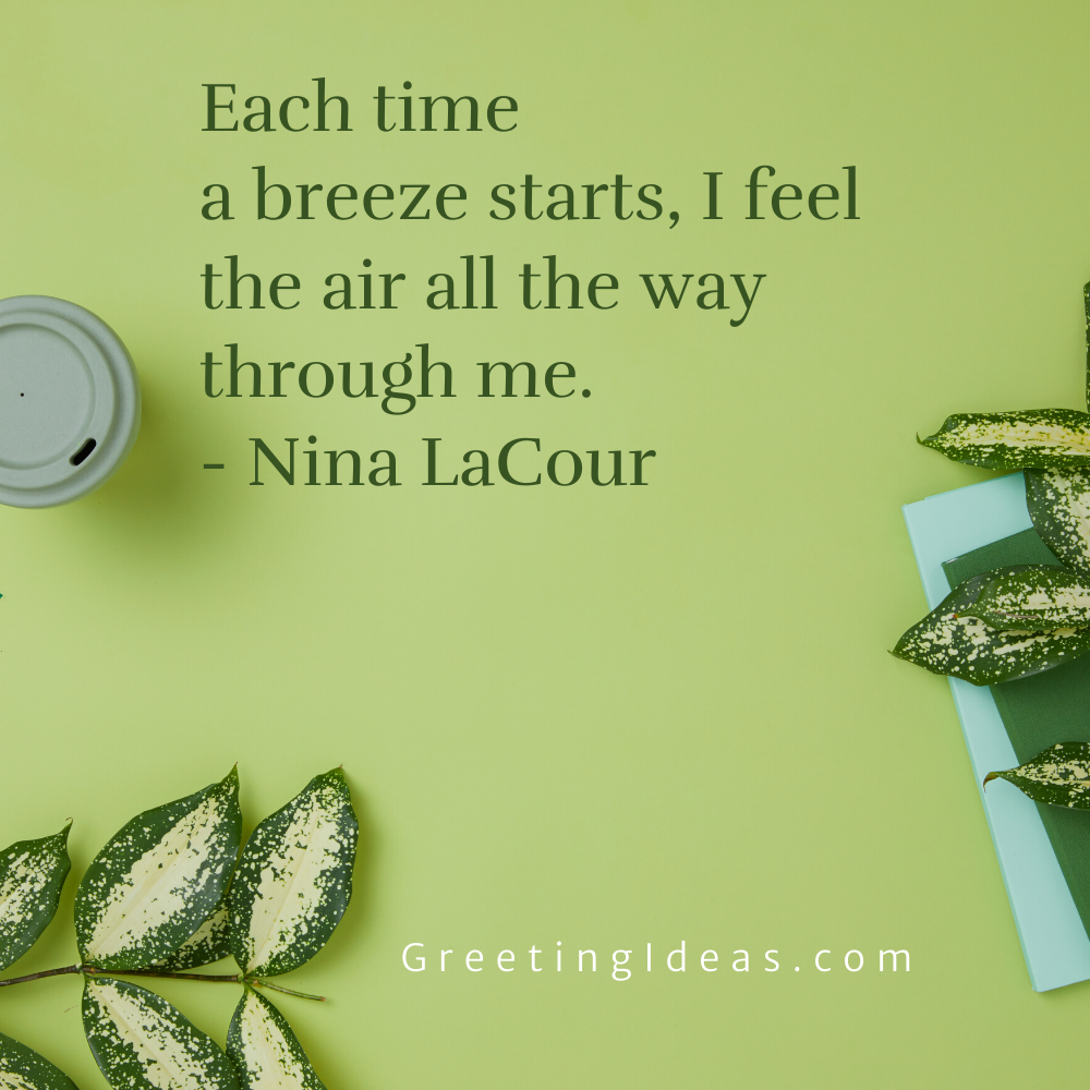 Best Quotes About Breeze to Enjoy Summer and Cold Mornings