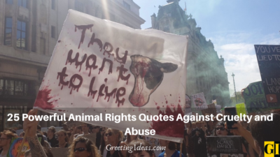 65 Powerful Animal Rights Quotes Against Cruelty And Abuse
