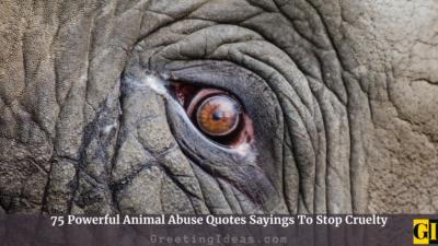 75 Powerful Animal Abuse Quotes Sayings To Stop Cruelty