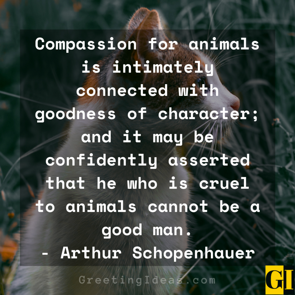 30 Powerful Animal Abuse Quotes and Sayings to Stop Cruelty