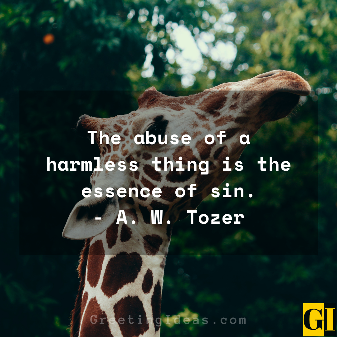 Animal Abuse Quotes Greeting Ideas 3