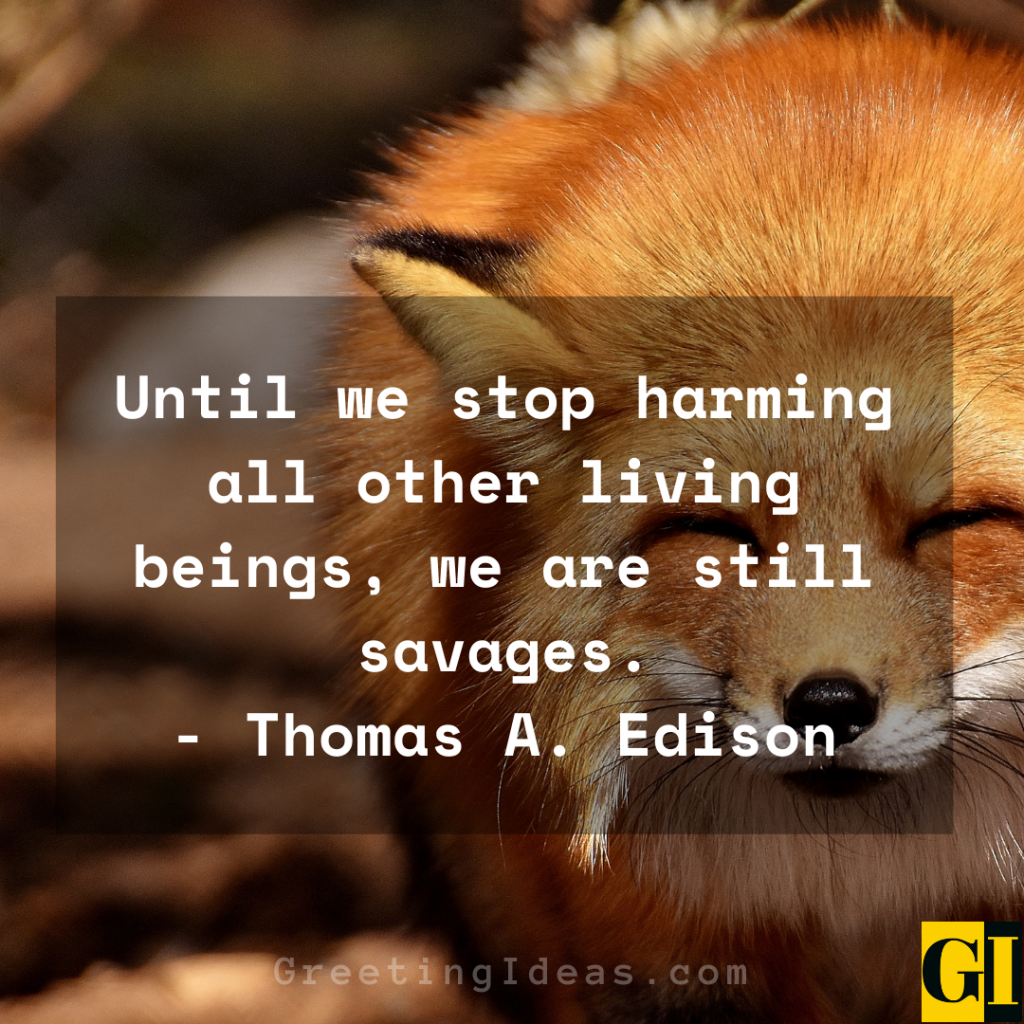 75 Powerful Animal Abuse Quotes Sayings To Stop Cruelty