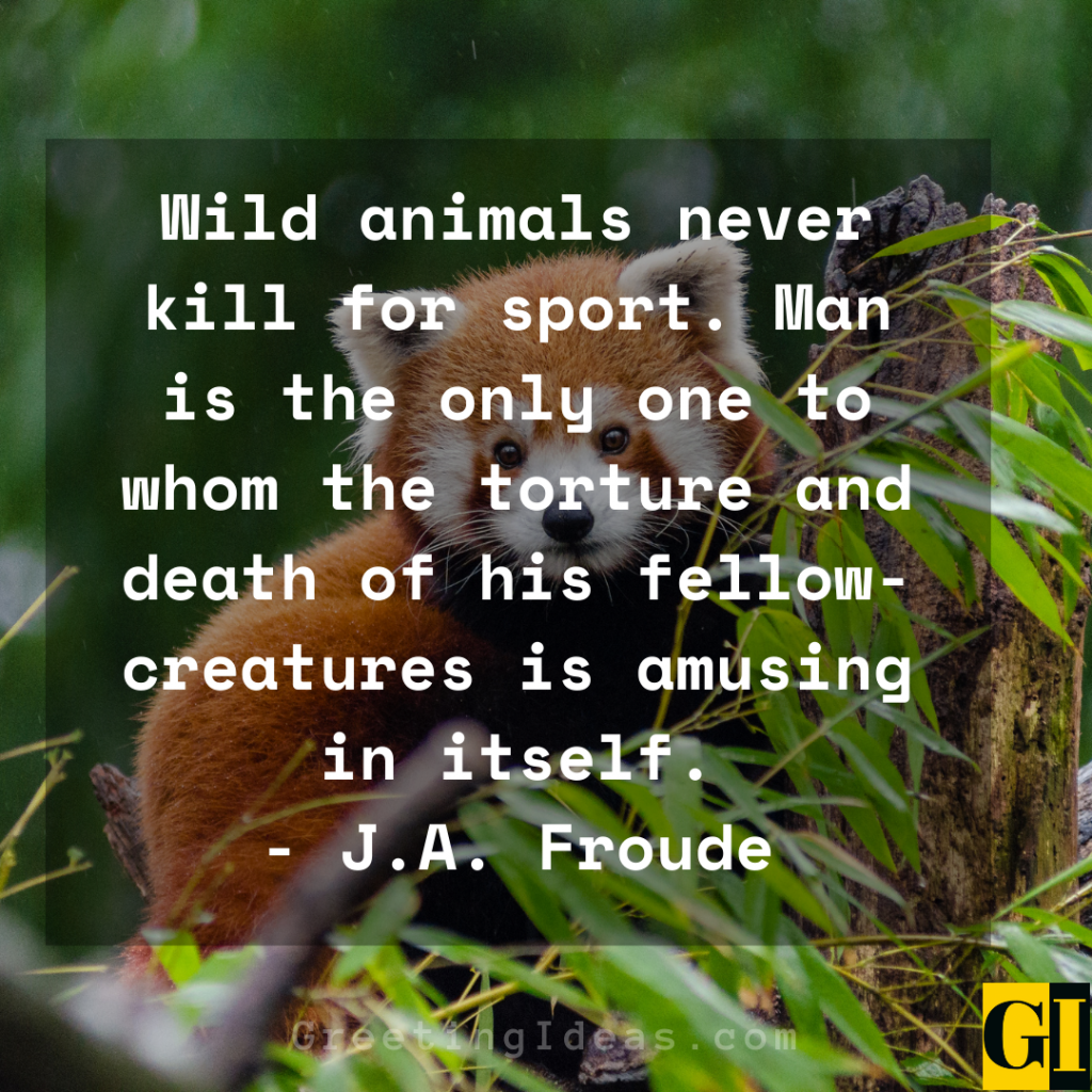 30 Powerful Animal Abuse Quotes and Sayings to Stop Cruelty