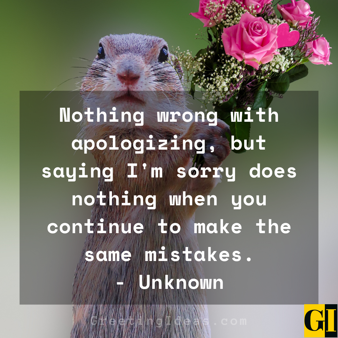 Apologizing Quotes Greeting Ideas 3