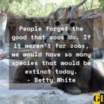 10 Famous Zoo Quotes on Humans, Animals and Natural Habitats