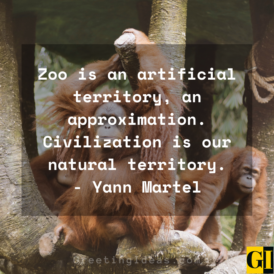 10 Famous Zoo Quotes on Humans, Animals and Natural Habitats