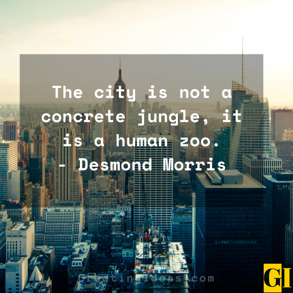 10 Famous Zoo Quotes on Humans, Animals and Natural Habitats