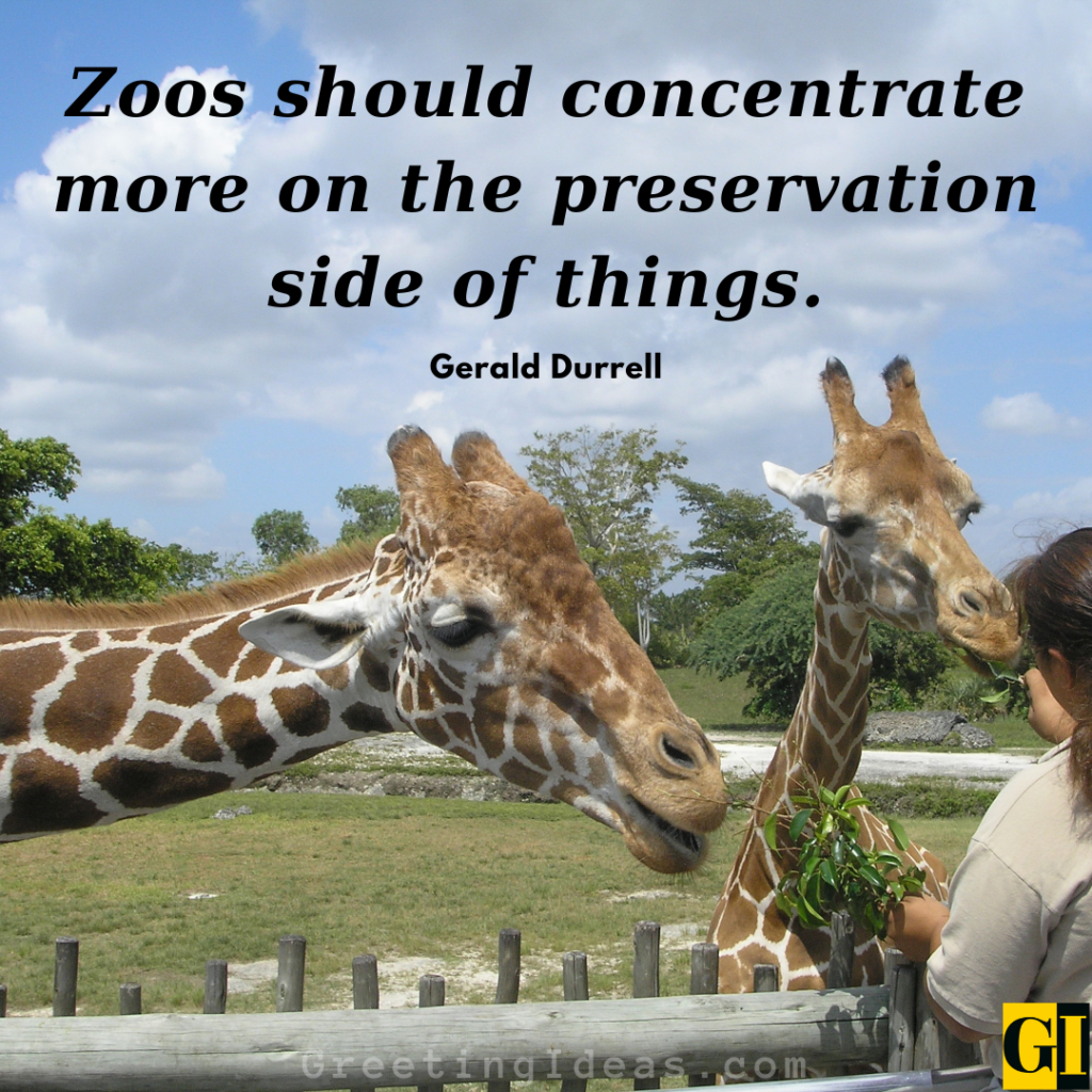 Zoo Quotes Images Greeting Ideas 1
