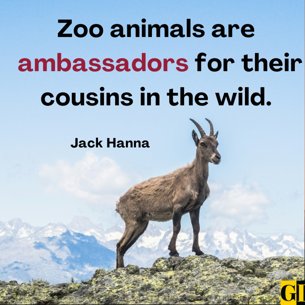 Zoo Quotes Images Greeting Ideas 2