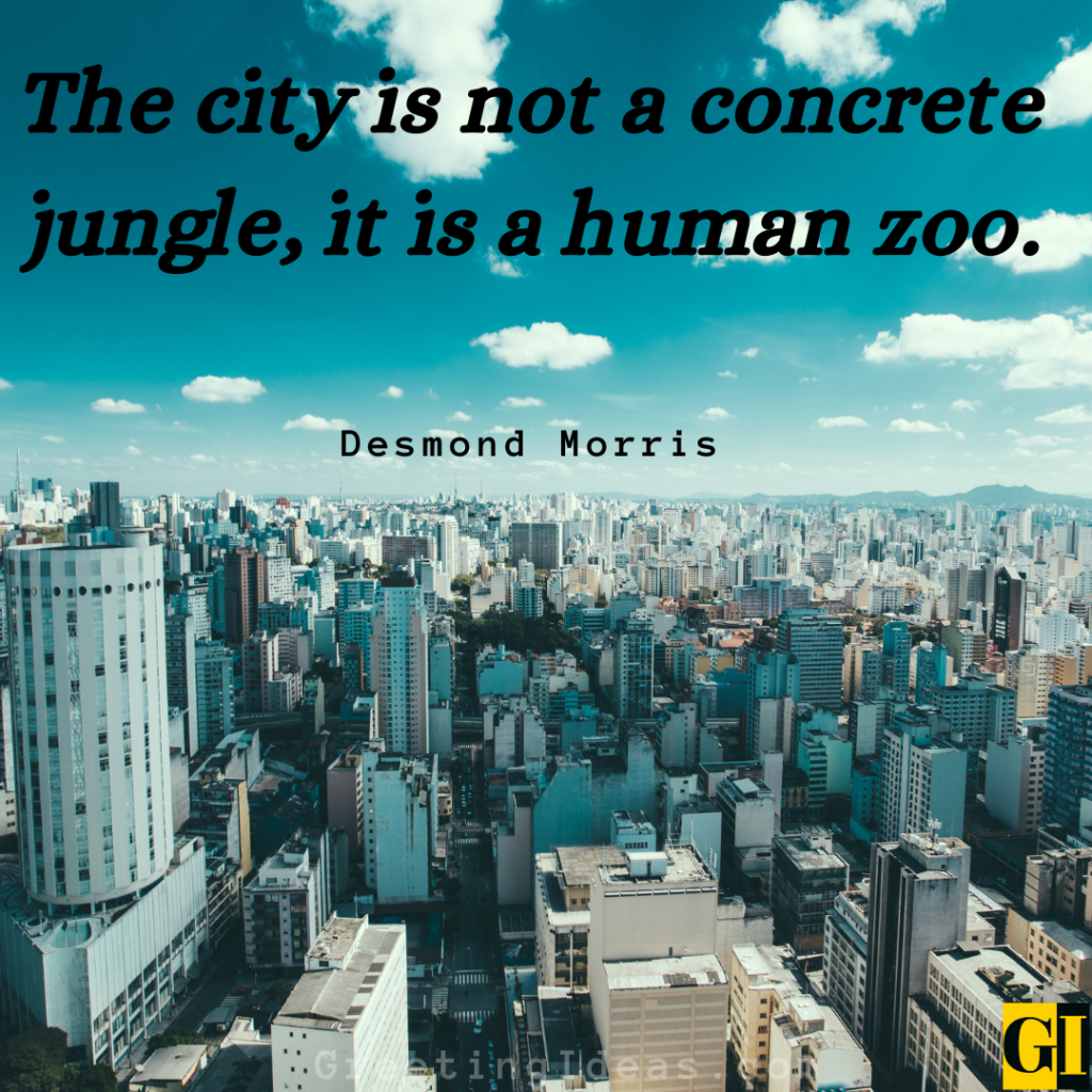 Zoo Quotes Images Greeting Ideas 2