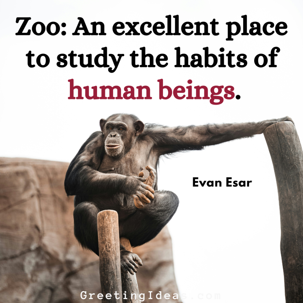 Zoo Quotes Images Greeting Ideas 3