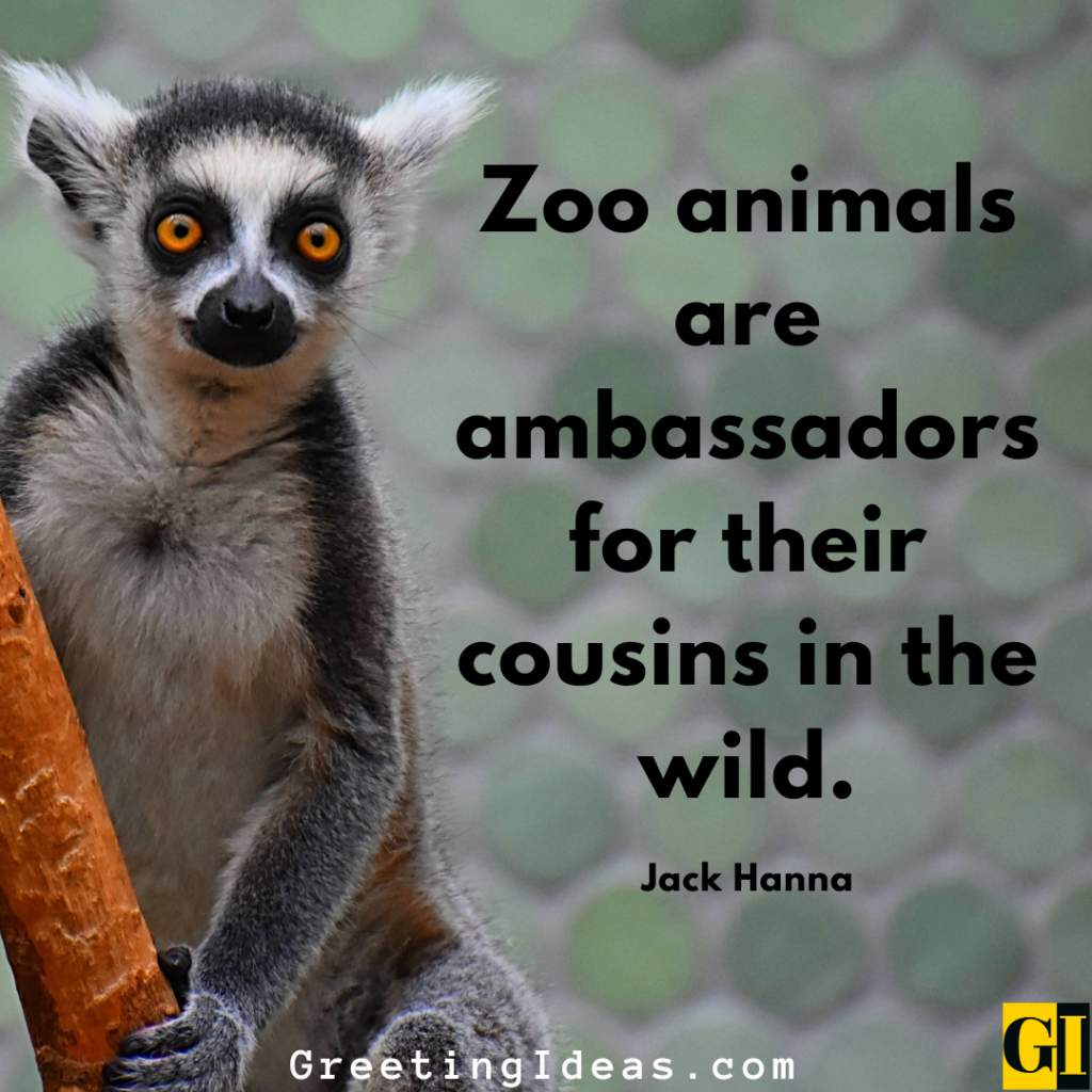 Zoo Quotes Images Greeting Ideas 3