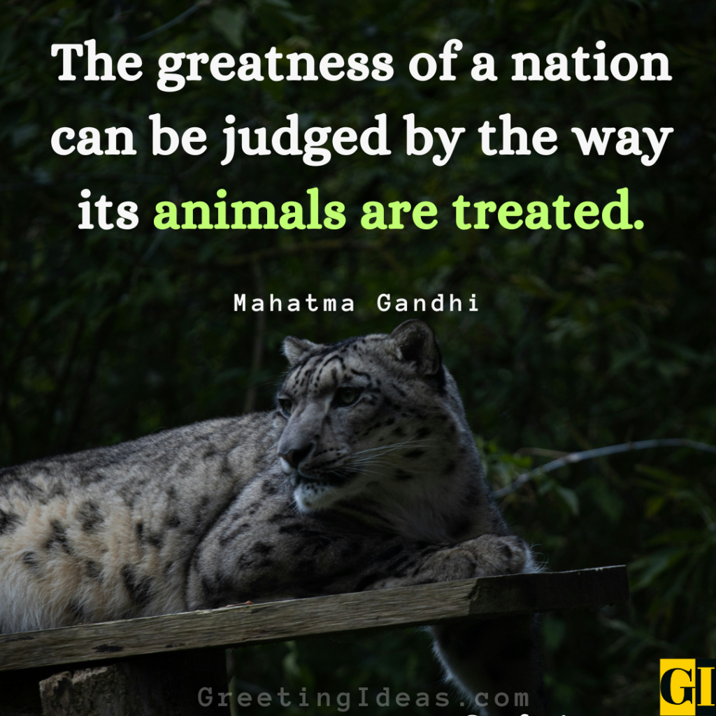 Zoo Quotes Images Greeting Ideas 5