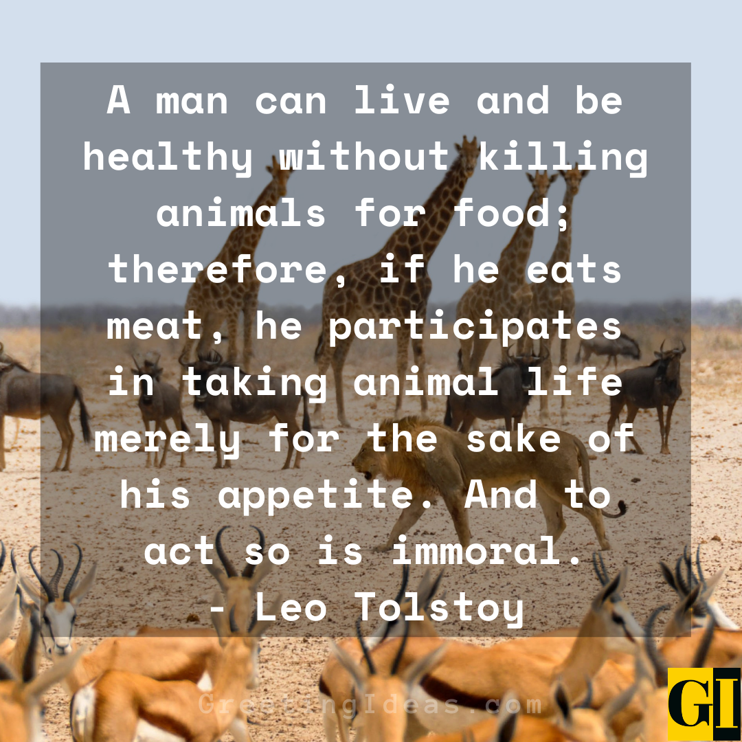 animal rights quotes greeting ideas 4